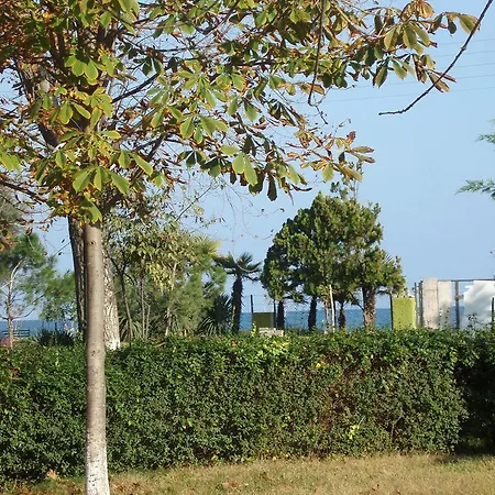 Four Seasons 2 Paralía